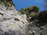 qua Rocca20100328 024